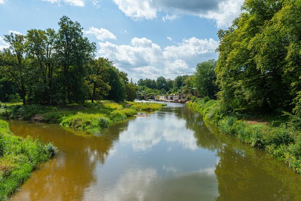 Combien de temps pour voir des résultats avec l'eau détox?